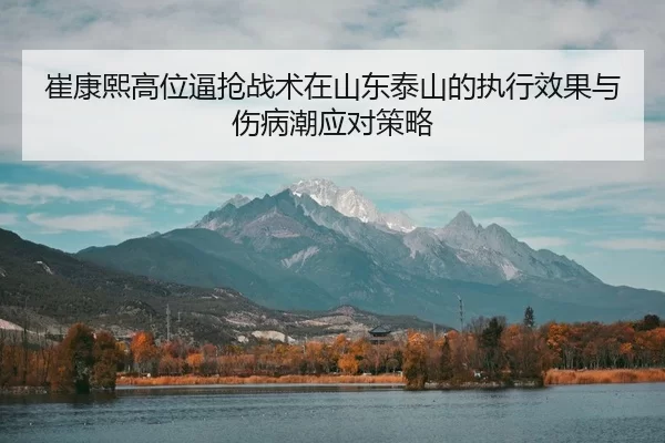 cui-kang-xi-gao-wei-bi-qiang-zhan-shu-zai-shan-dong-tai-shan-de-zhi-xing-xiao-guo-yu-shang-bing-chao-ying-dui-ce-lve-2-353.jpg
