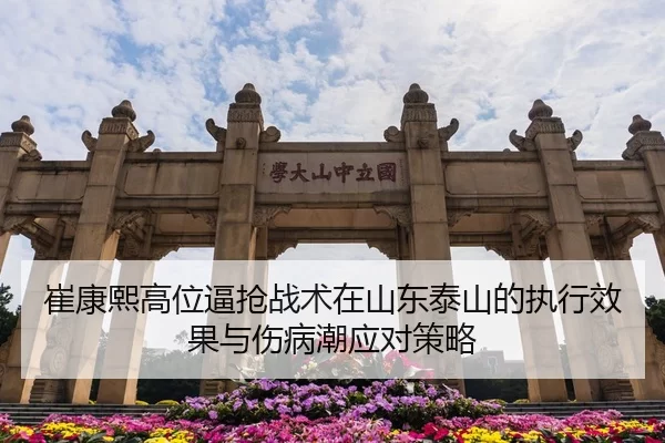 cui-kang-xi-gao-wei-bi-qiang-zhan-shu-zai-shan-dong-tai-shan-de-zhi-xing-xiao-guo-yu-shang-bing-chao-ying-dui-ce-lve-3-537.jpg