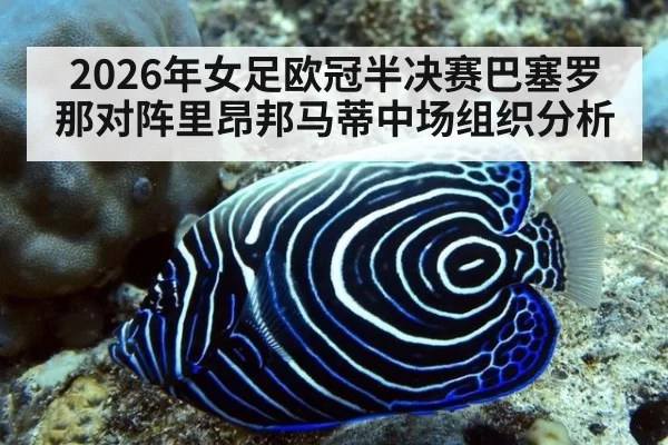 2026年女足欧冠半决赛巴塞罗那对阵里昂邦马蒂中场组织分析